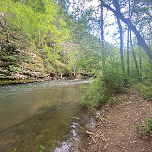 Savage Acres: Creekside Woods