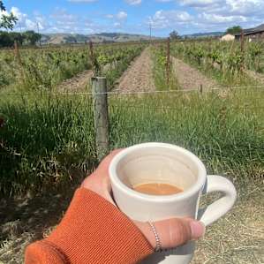 Morning coffee with the roosters
