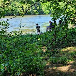 Seven Islands River front Campsites