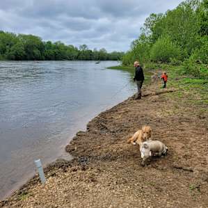 Seven Islands River front Campsites