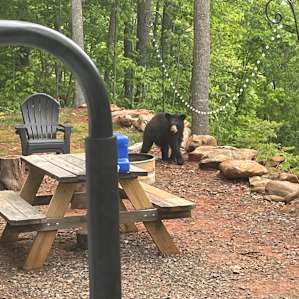 Private Campsite / Mountain Views!
