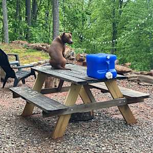 Private Campsite / Mountain Views!