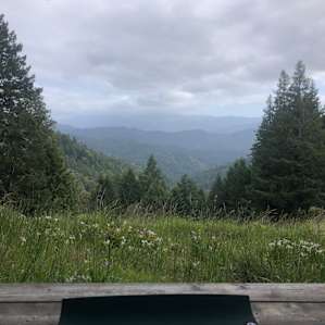 Photos do not do this view justice. Various layers of rolling, pristine mountains covered in trees.