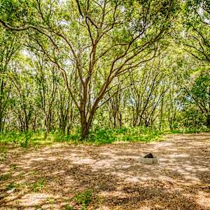 Wide open campsites
