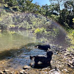 Creek, River & Bush Camping (4WD)