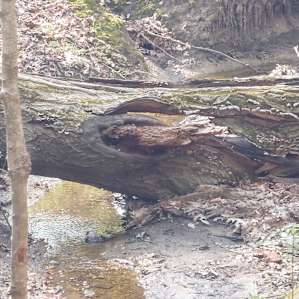 Camp at Heritage Farms in CVNP