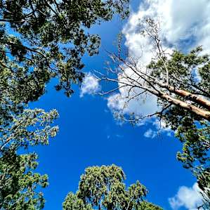 Camping at Burrum River, Woodgate