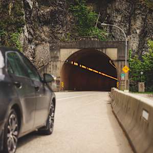 Some of the many tunnels one will see on their way to the tiny house.