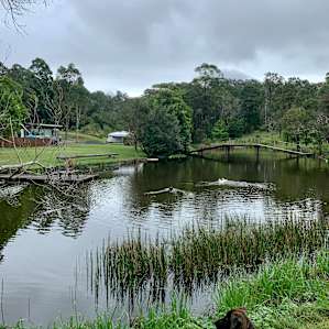 Damside Camping @ Ocean View