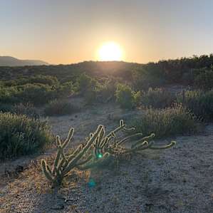Overlandia Backcountry Group Camp