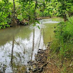 Cedar Creek Car/Tent/RV