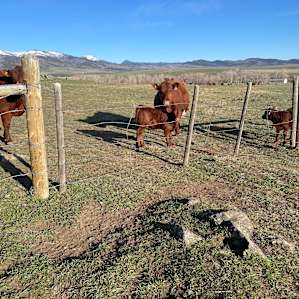 Red Devon Ranch Stackyard Campsite