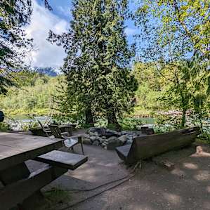 site