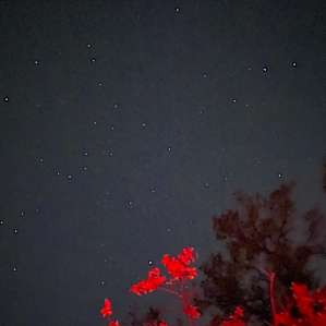 Star scattered nights