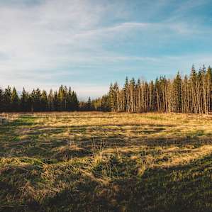 The expansive field has more than enough room for anyone to find their own spot.