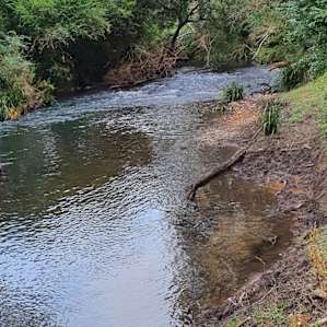 Riverrock, Bucketts Mountains
