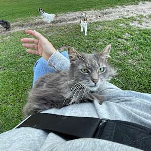 Such friendly animals!!