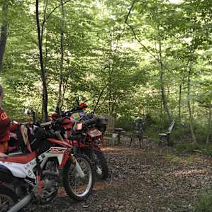Tent camping in the woods