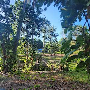 Guajataca Lake getaway
