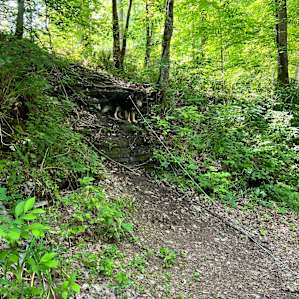 Peaceful Hills Waterfall Campsite