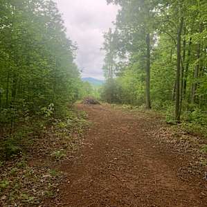 Little road to a bigger brush pile and a nice view