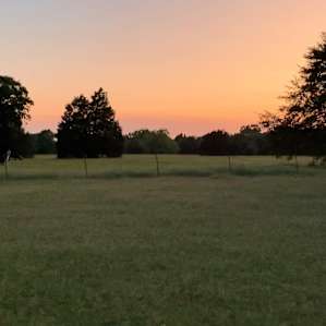 Llamaland Tent Camping
