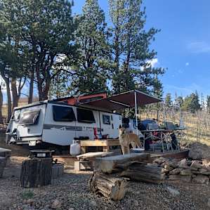 3-Acre Aspen Filled Campsite