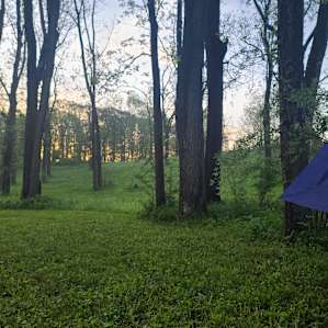 Beautiful morning