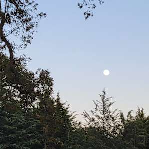 Personal Creekside Camping