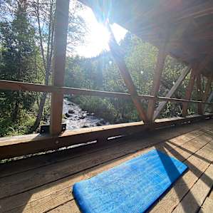 Forested creekside campsite