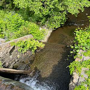 Stone Mill Camping