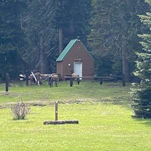 Camp Fife, Bumping Lake