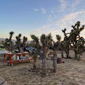 Joshua Tree Rancho
