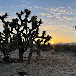 Joshua Tree Rancho