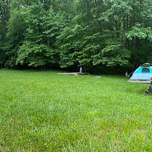 Camping platforms/A frame.meadow