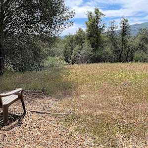 Camp SourBerry (near Yosemite)