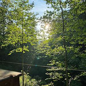 Bougie Backwoods Retreat