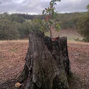 At one with nature (Adults only)