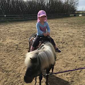 Pony rides!!