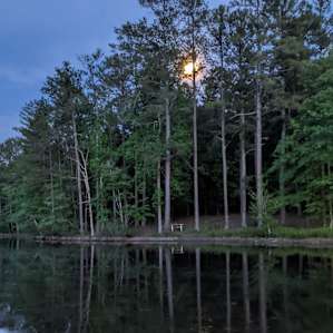 Tent Camping on the Lake