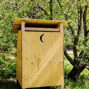The outhouse is a few steps away