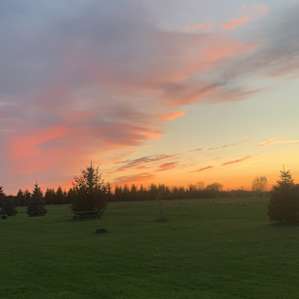 Avonmore Oasis Camping