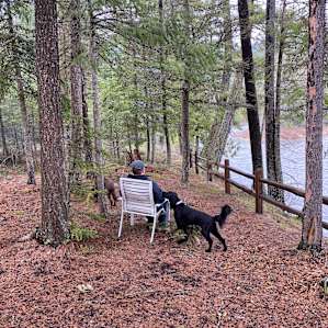 Iron Horse Forest River Cabin