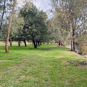 Bahwidgee ~ Tumut River - Tents