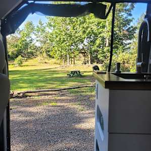 Camper Van #5 Parking in the Forest