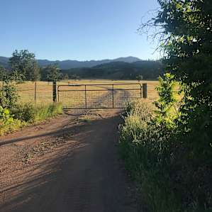 Ramblin Rose Ranch