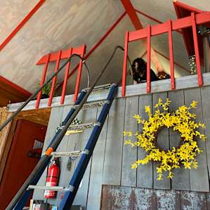 Woods and Meadows Dragon Loft Cabin