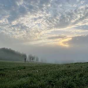 Morning fog over the valley.