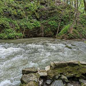 Bald Eagle Campsite