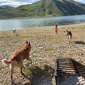 Waterfront RV camping brownlee